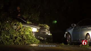Fallen Tree Damages 2 Cars, Briefly Blocks Tulsa Road