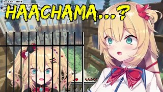 Akai Haato gets attacked by Haachama Syndrome【Hololive/Eng Sub】