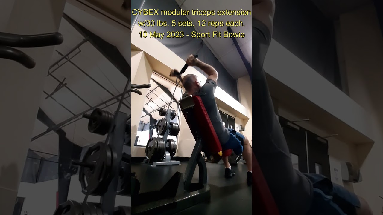 💥 GROW your TRICEPS 💪 with modular extensions 