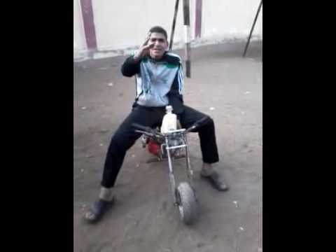 محمود شلبى
