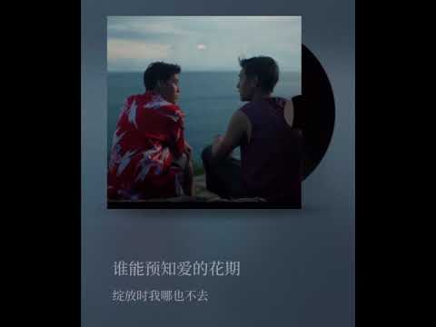 หรูเหอ 如何 Skyline "I Told Sunset About You" OST.แปลรักฉันด้วยใจเธอ (Cover) with CHI SUBS