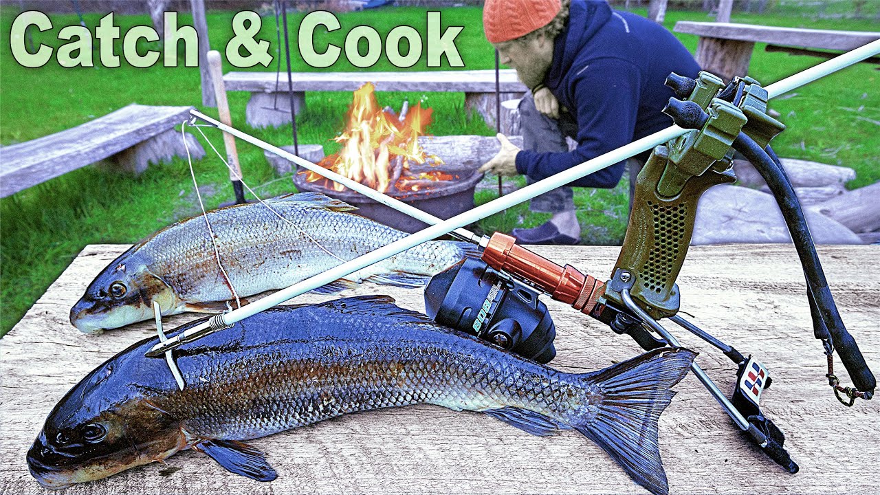 Slingbow Fishing Catch & Cook Sucker Fish Day 24 of 30 Day Survival Challenge Maine Lockdown