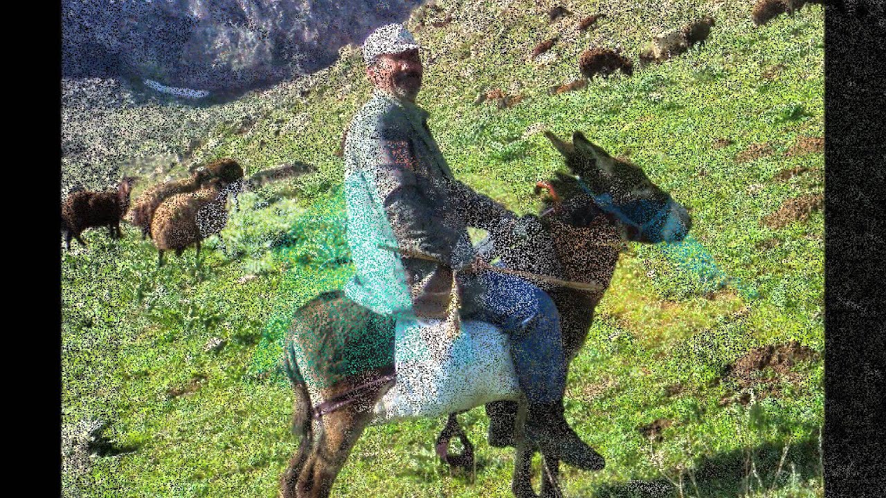 Köprüköy mescitli köyü 1 Nihat Yılsız