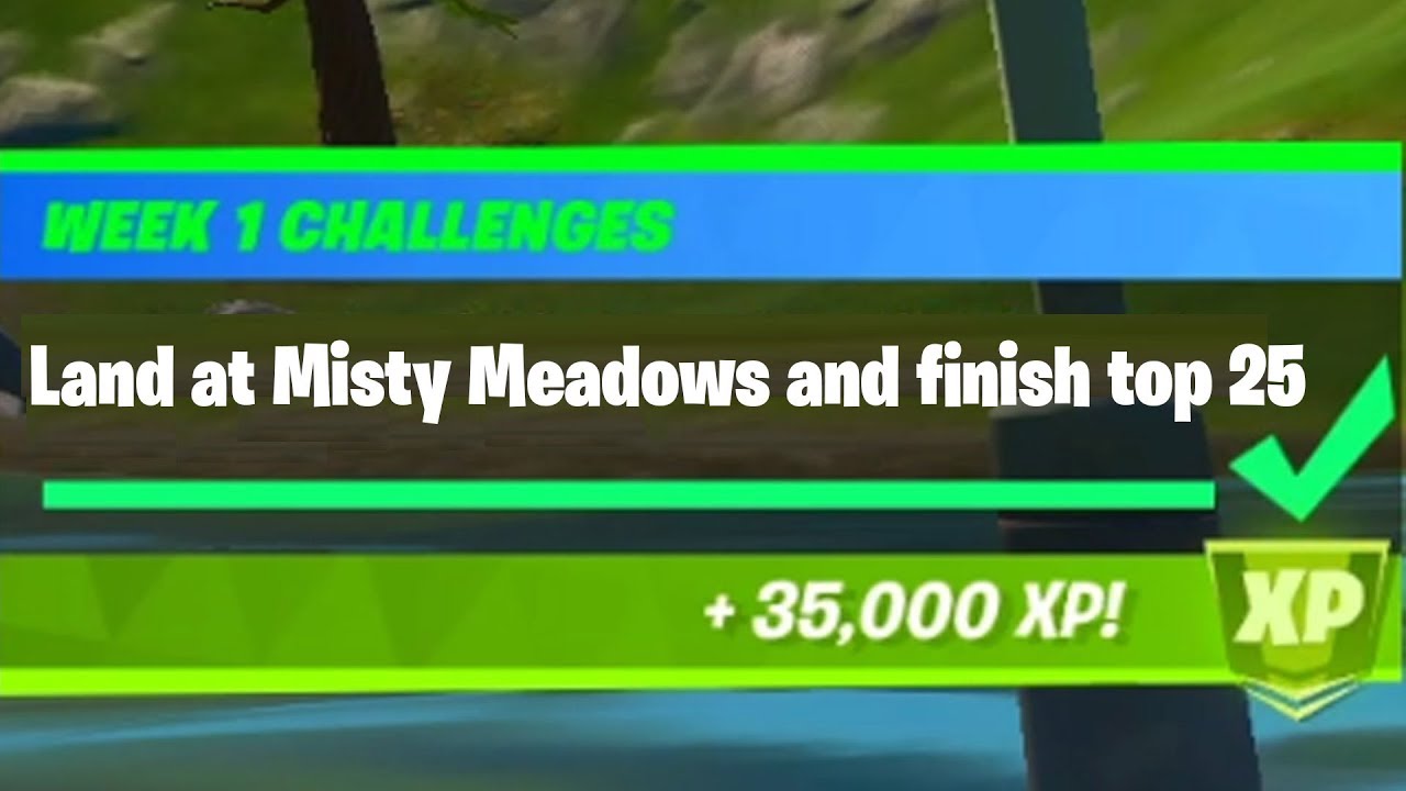 Land at Misty Meadows and finish top 25 Fortnite