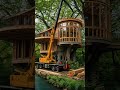 You Won’t Believe This Tree House 🌳🔥 #Shorts #tinyhouse #timelapse #home #architecture #travel