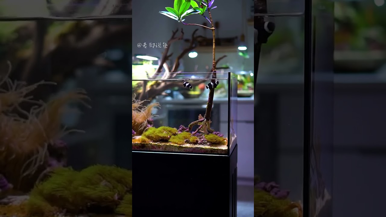 The most enjoyable thing is feeding every day 