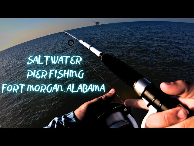 SALTWATER PIER FISHING (GULF SHORES/FORT MORGAN, AL) 