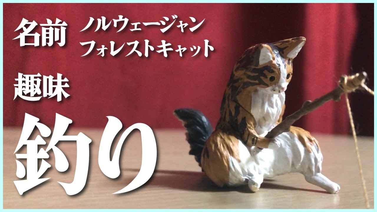 釣り日和～猫たちのひまつぶし～】釣りをしたっていいじゃない、だって
