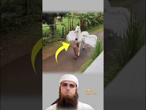 الحصان المجنح الأبيض أسطوره الحكايات هل هاذا حقيقي تصاميم عبارات حالات وتس متابعه لايكي اكسبلاور