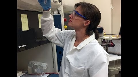 A Day in the Life of Trace Metal Geochemist - Dr. Shelby Rader