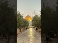وسيرج ع يوما أقصانا وسيرج ع يوما أقصانا