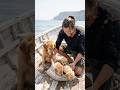 The fate of the poor man who saved the puppy and the rich man who abandoned it#GoldenRetriever