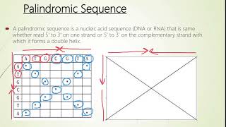 Famous How to read Dot Plot Matrix Profile