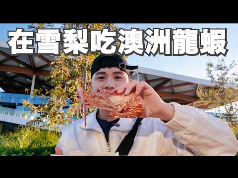 飛行日記｜來澳洲大口吃海鮮大口吃牛排！從早吃到晚的雪梨一日遊