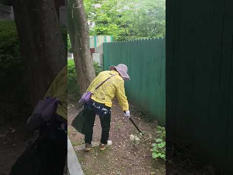 영상썸네일