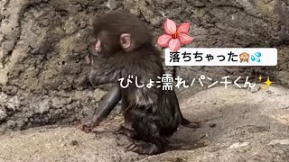 邦楽君に伝えたい事 Ill See You Again Soon