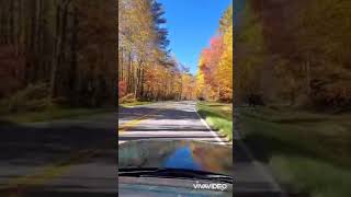 Autumn Drive - Towns County, Georgia - 2021