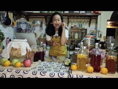 วิธีทำเครื่องดื่มแครนเบอร์รี่ไซเดอร์ และวีนีการ์ Homemade Vinegar  - Down To Earth Thailand
