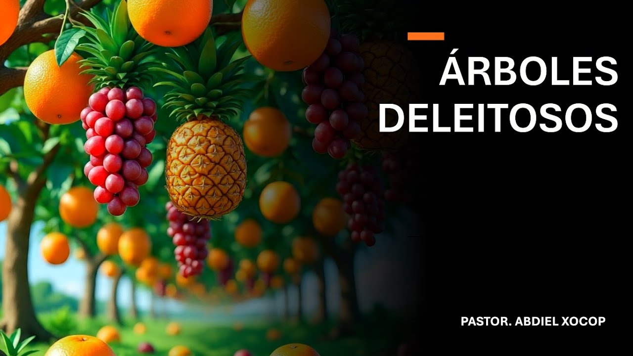 SERVICIO GENERAL  | DOMINGO 18/01/26 | MINISTERIOS EBENEZER, MORALES, IZABAL.