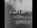 Fake Tears - Rody Zamudio