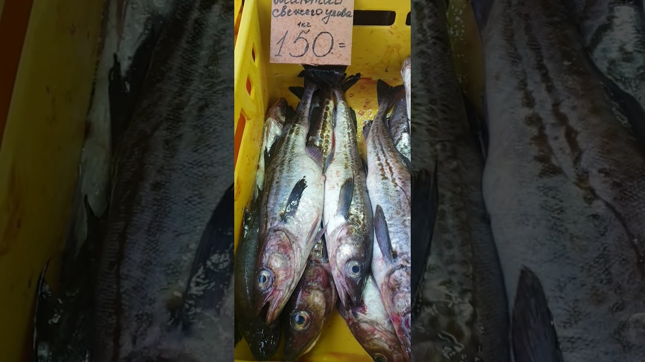 Цена свежатинки Уссурийск 