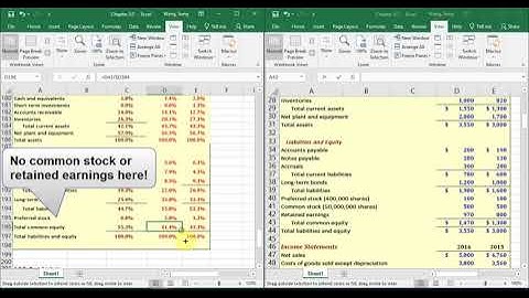 Common size balance sheet