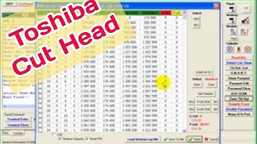 Cut Head (1 & 2) TOSHIBA | SeDiv