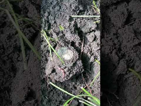 Metal detecting lost treasure Julesburg elementary school built in 1952, w/ ​⁠@rohandosadventures