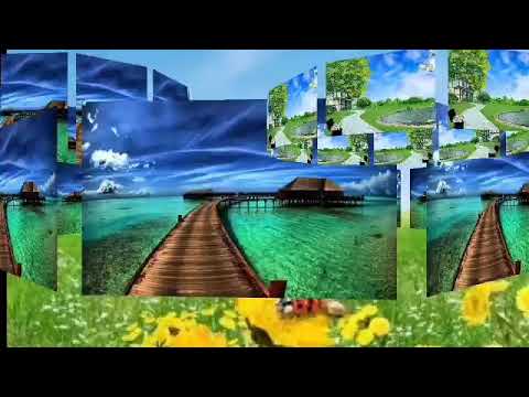 حاله واتس لو عايزه تعيشي يا طاهره