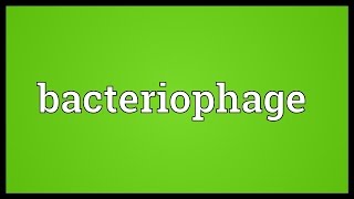 Bacteriophage Meaning