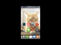 Cara Download File Torrent Pakai Android