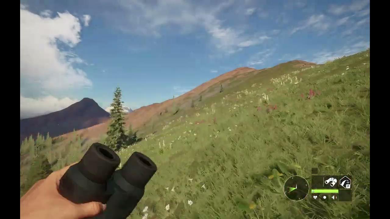 HUGE DIAMOND ROCKY MOUNTAIN ELK!!! The Hunter COTW YouTube
