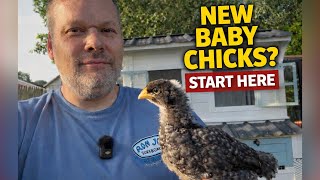 Bringing Home Baby Chicks Do This First (Beginner Setup Guide)