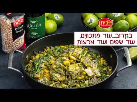פילה בס עם מנגולד, לימונים וחומוס