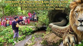 Ngeri.!! setelah menghilang puluhan tahun ular berkepala singa muncul lagi dari dalam goa