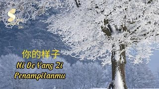   Ni De Yang Zi   Pendanilanmu lirik Dan Terjemahan