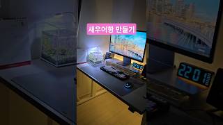 책상위 새우 수초항 만들기(골든백새우) #데스크테리어 #생이새우 #수초어항 #물생활