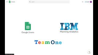Celebrity TeamOne Google Sheets add-on for IBM Planning Analytics Net Worth