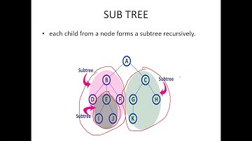 CS 250 Dr Bsoul Trees Part Two