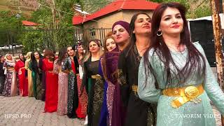 Şexaniya Oremariya /Kurdish Weeding [2023 ©]