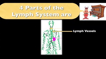 Cycle 3 Science Week 9