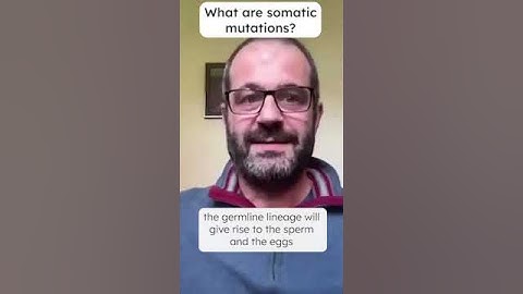 What are somatic mutations?