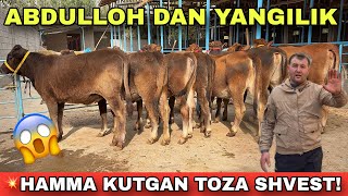 💥 BOZORNI LARZAGA SOLGAN SHVEST HUNO JINLAR — ABDULLOHDAN!