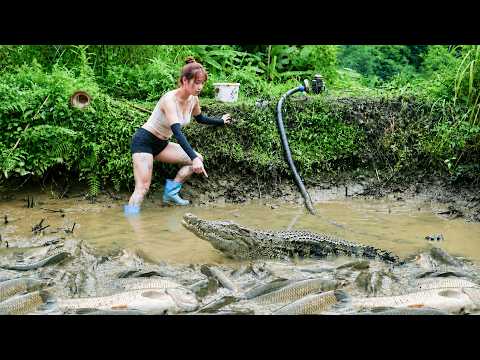 Use A Water Pump To Drain The Natural Pond, Encounter a Giant Fish, Harvest Fish Go To Sell