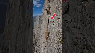 Leopard Attack Ibex Goat