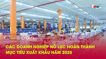 Các doanh nghiệp nỗ lực hoàn thành mục tiêu xuất khẩu năm 2025