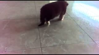 VID-20140604-WA0040.mp4