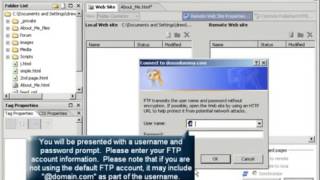 How to publish with Expressions Web