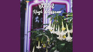 High Blossom - Lætitia