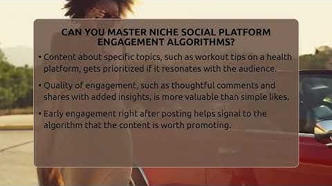 Can You Master Niche Social Platform Engagement Algorithms? - Everyday-Networking